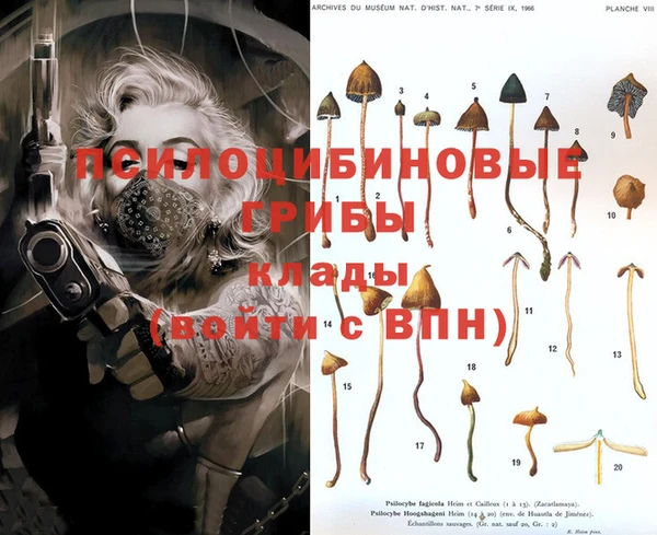прущие крисы Абинск