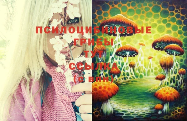 прущая мука Алзамай