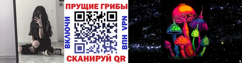 Псилоцибиновые грибы Psilocybine cubensis купить наркотик Киселёвск