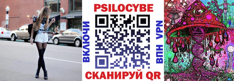 Галлюциногенные грибы Psilocybe Киселёвск